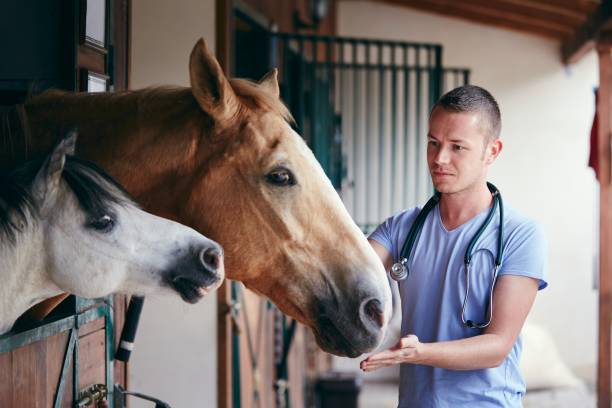 Dark Horse Veterinary Services - Burton, Ohio